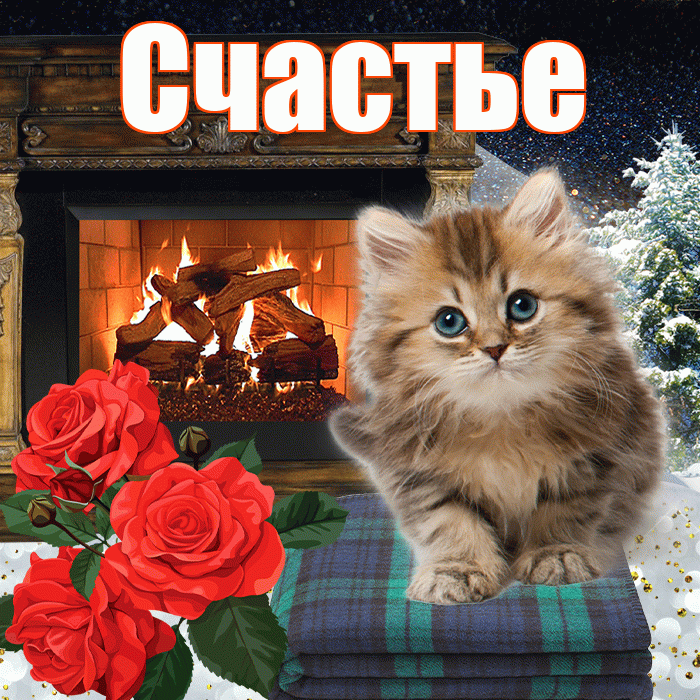 Счастье! Доброго зимнего вечера! Красивая открытка Счастью!