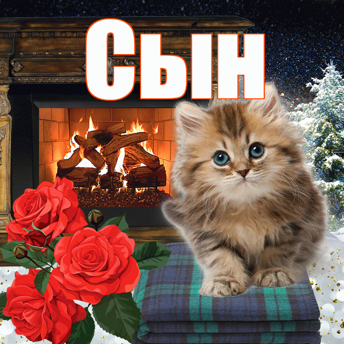 Сын! Доброго зимнего вечера! Красивая открытка Сыну!