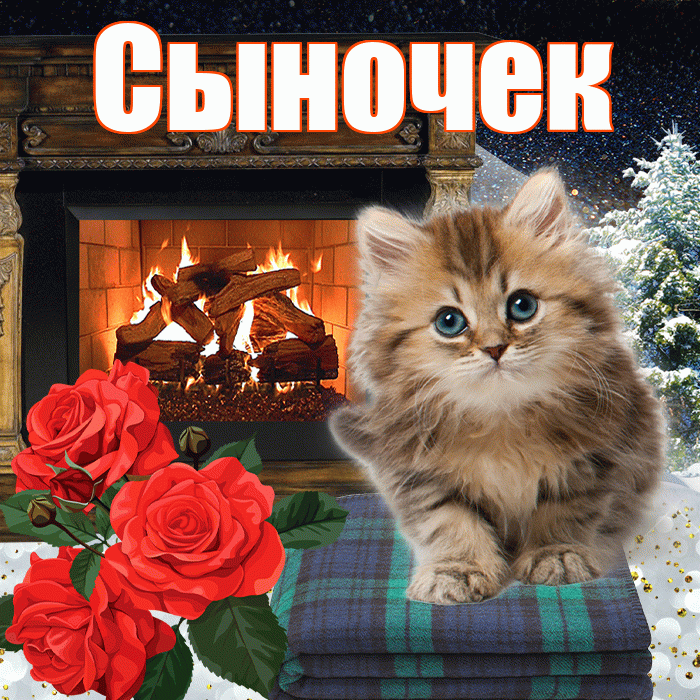 Сыночек! Доброго зимнего вечера! Красивая открытка Сыночку!