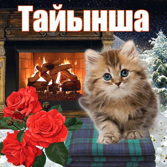 Тайынша! Доброго зимнего вечера! Красивая открытка Тайынше!