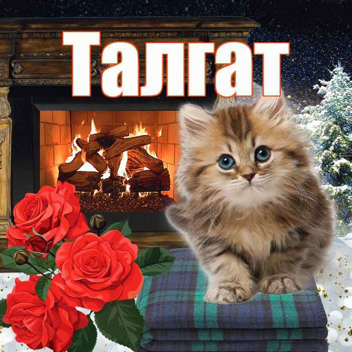 Талгат! Доброго зимнего вечера! Красивая открытка Талгату!