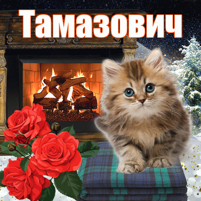 Тамазович! Доброго зимнего вечера! Красивая открытка Тамазовичу!