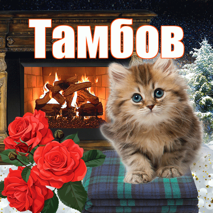 Тамбов! Доброго зимнего вечера! Красивая открытка Тамбову!
