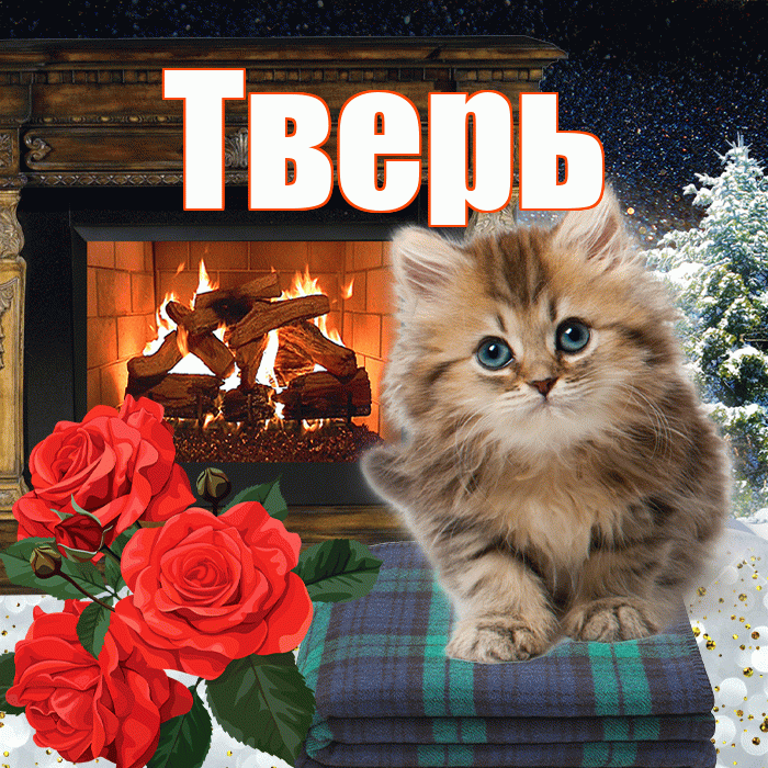 Тверь! Доброго зимнего вечера! Красивая открытка Тверю!