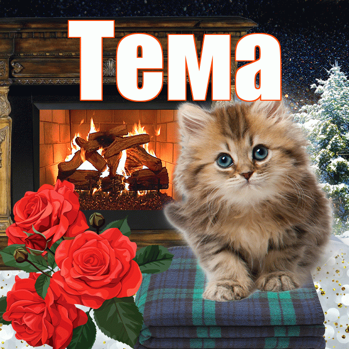 Тема! Доброго зимнего вечера! Красивая открытка Тёму!