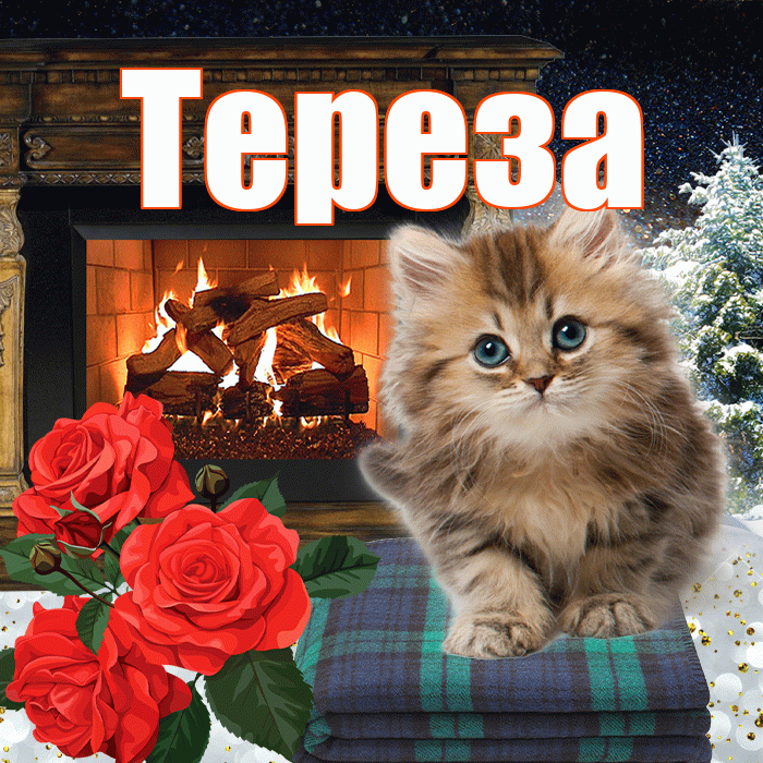 Тереза! Доброго зимнего вечера! Красивая открытка Терезе!