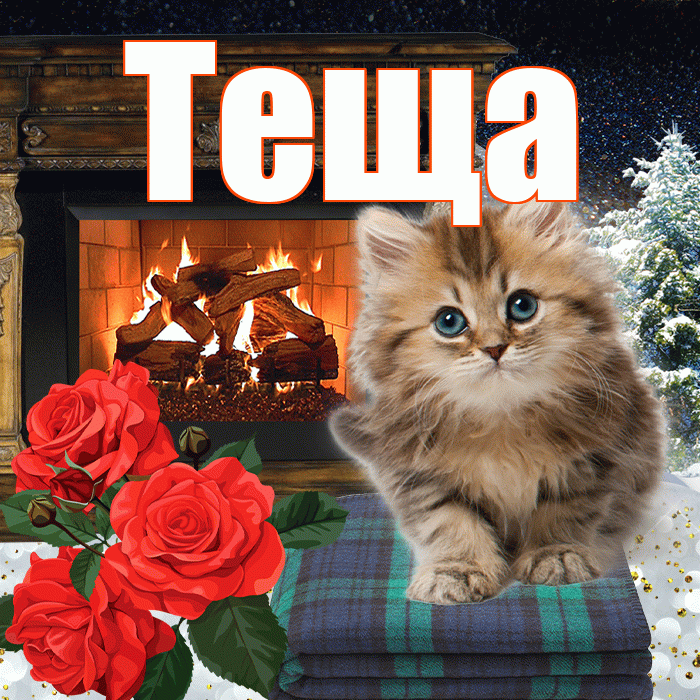 Теща! Доброго зимнего вечера! Красивая открытка Тещей!