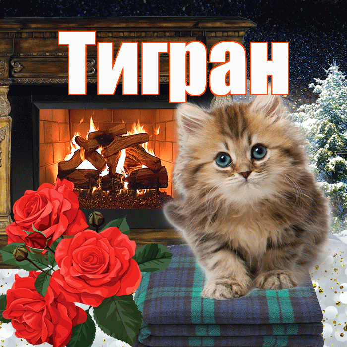 Тигран! Доброго зимнего вечера! Красивая открытка Тиграну!