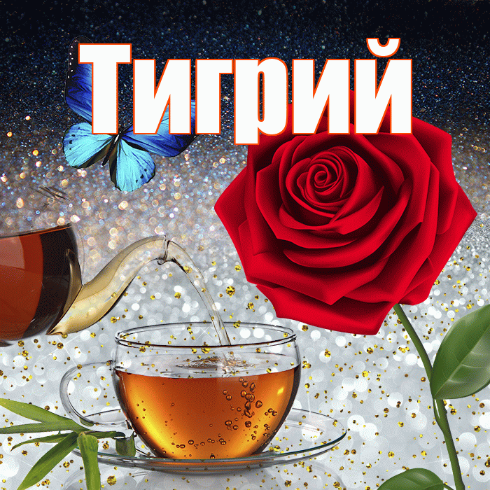 Тигрий! Доброго зимнего вечера! Красивая открытка Тигрии!