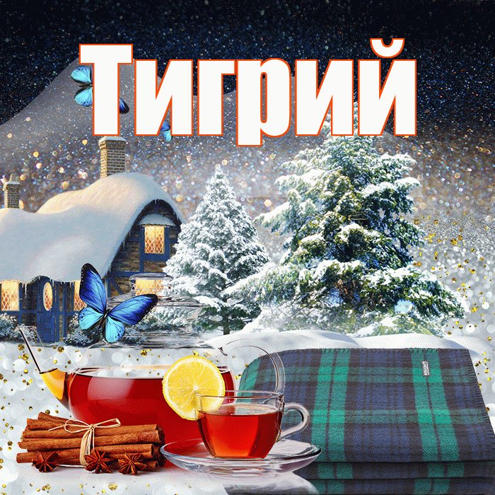 Тигрий! Доброго зимнего вечера! Красивая открытка Тигрии!