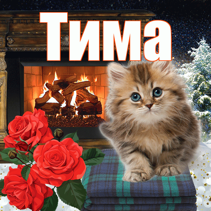 Тима! Доброго зимнего вечера! Красивая открытка Тиму!