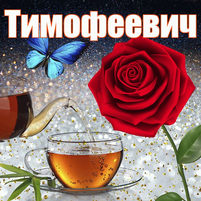 Тимофеевич! Доброго зимнего вечера! Красивая открытка Тимофеевичу!