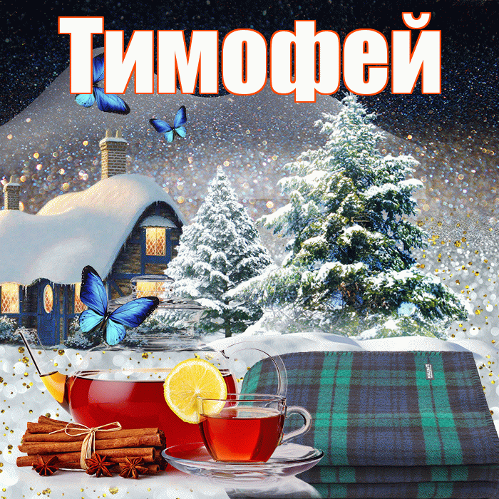 Тимофей! Доброго зимнего вечера! Красивая открытка Тимофею!