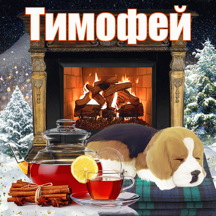 Тимофей! Доброго зимнего вечера! Красивая открытка Тимофею!