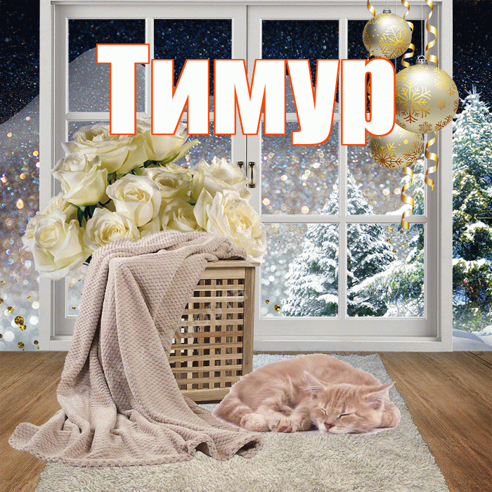 Тимур! Доброго зимнего вечера! Красивая открытка Тимуру!