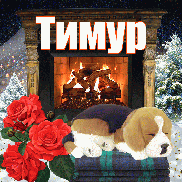Тимур! Доброго зимнего вечера! Красивая открытка Тимуру!