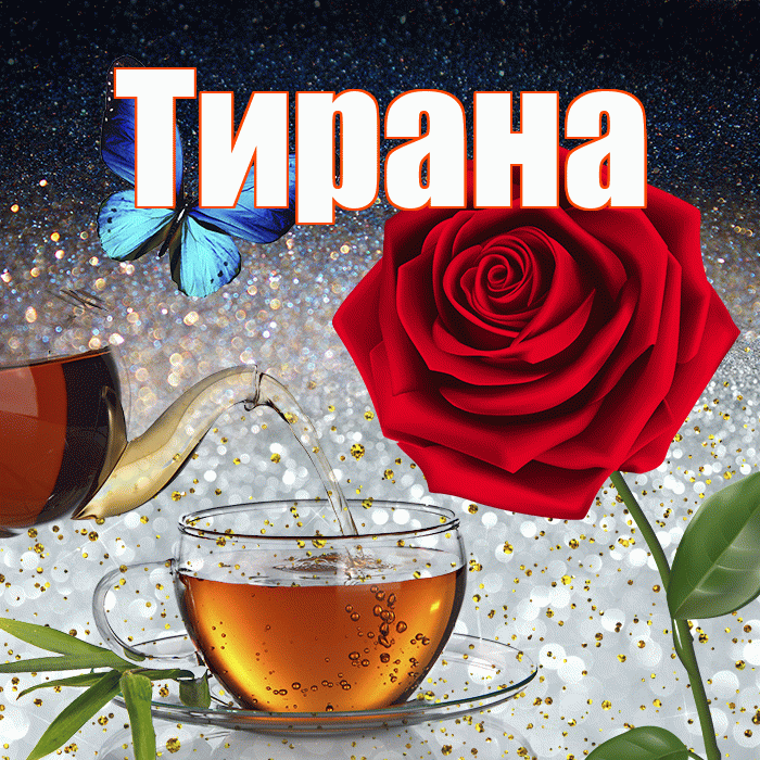 Тирана! Доброго зимнего вечера! Красивая открытка Тиране!