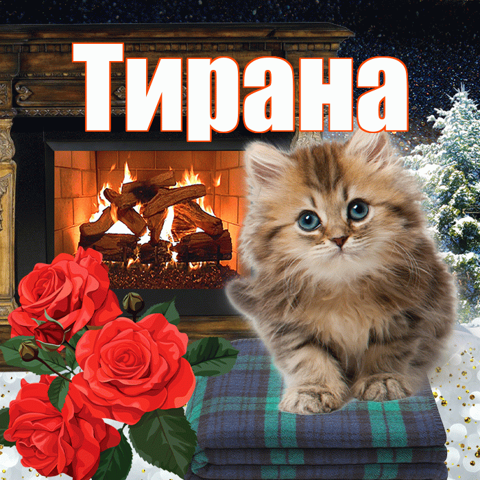 Тирана! Доброго зимнего вечера! Красивая открытка Тиране!