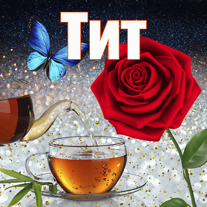 Тит! Доброго зимнего вечера! Красивая открытка Титу!