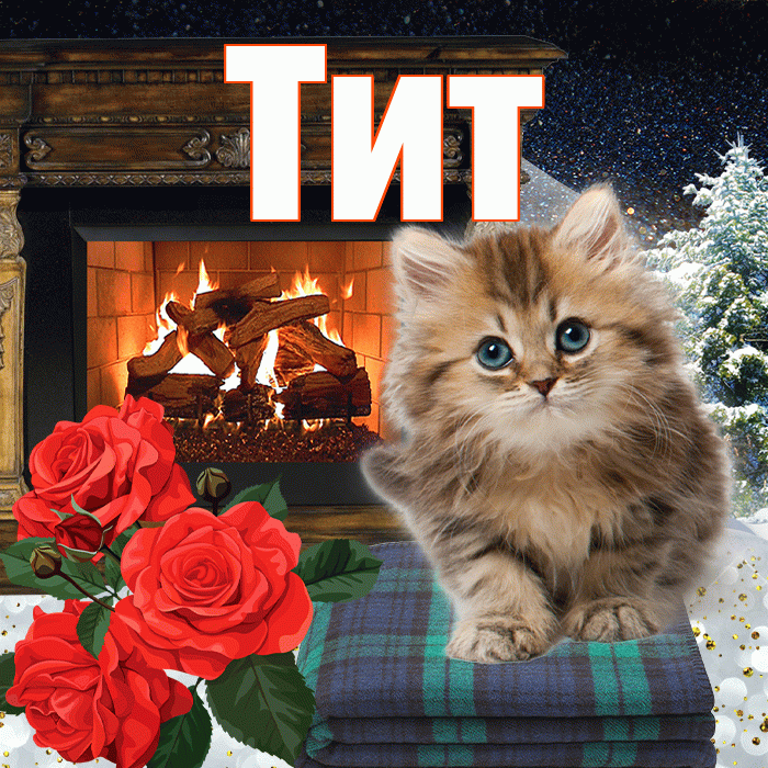 Тит! Доброго зимнего вечера! Красивая открытка Титу!