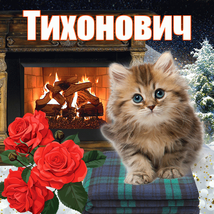 Тихонович! Доброго зимнего вечера! Красивая открытка Тихоновичу!