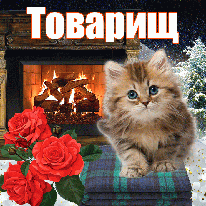Товарищ! Доброго зимнего вечера! Красивая открытка Товарищу!
