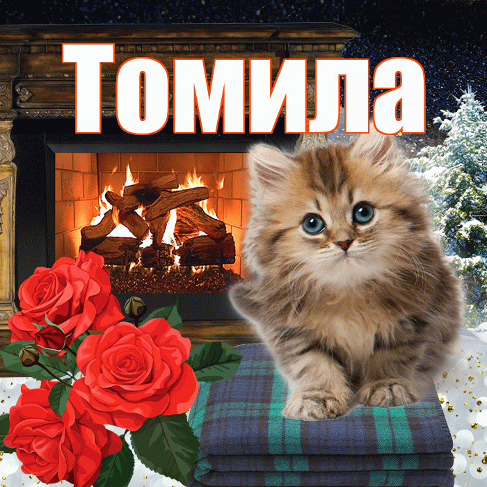 Томила! Доброго зимнего вечера! Красивая открытка Томиле!