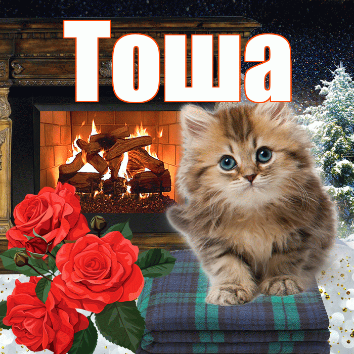 Тоша! Доброго зимнего вечера! Красивая открытка !