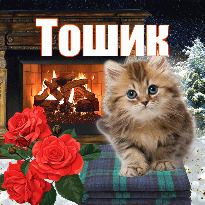 Тошик! Доброго зимнего вечера! Красивая открытка !
