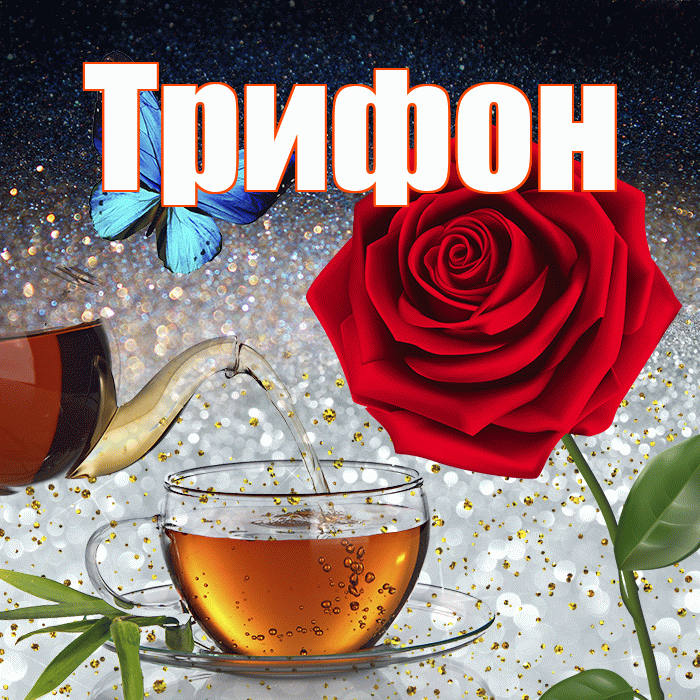 Трифон! Доброго зимнего вечера! Красивая открытка Трифону!