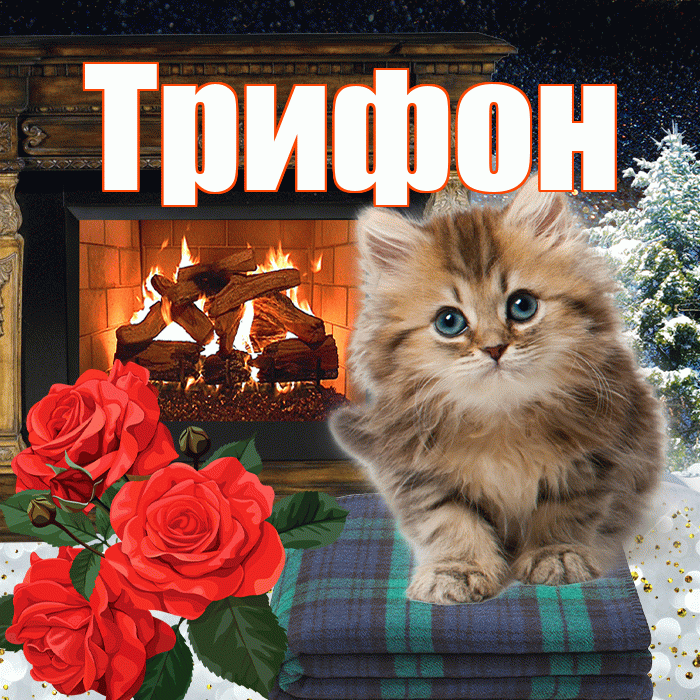 Трифон! Доброго зимнего вечера! Красивая открытка Трифону!