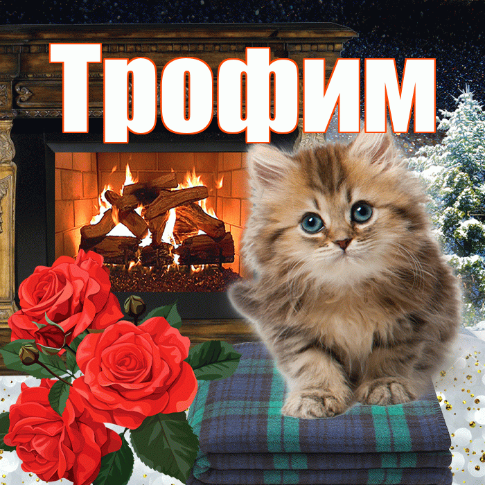 Трофим! Доброго зимнего вечера! Красивая открытка Трофиму!