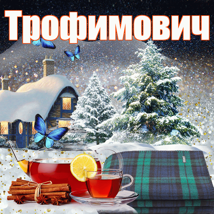 Трофимович! Доброго зимнего вечера! Красивая открытка Трофимовичу!