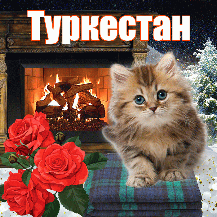 Туркестан! Доброго зимнего вечера! Красивая открытка Туркестану!
