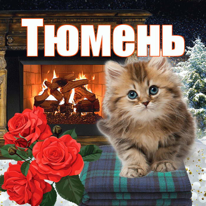 Тюмень! Доброго зимнего вечера! Красивая открытка Тюменю!