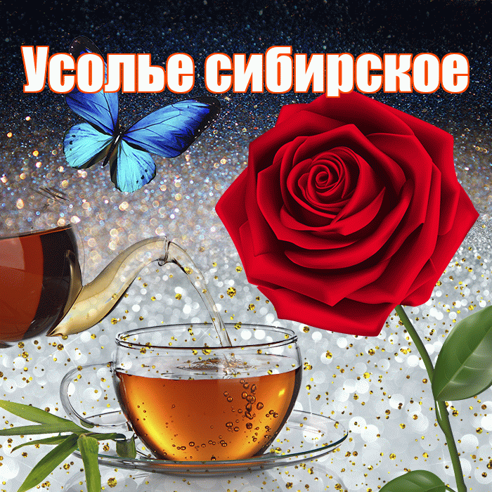 Усолье сибирское! Доброго зимнего вечера! Красивая открытка !