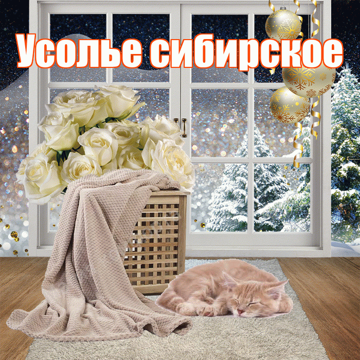 Усолье сибирское! Доброго зимнего вечера! Красивая открытка !