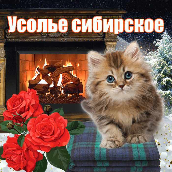 Усолье сибирское! Доброго зимнего вечера! Красивая открытка !