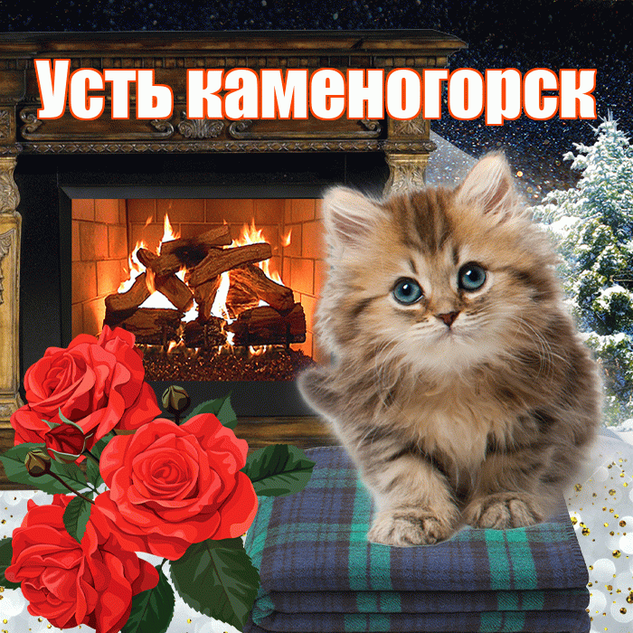 Усть каменогорск! Доброго зимнего вечера! Красивая открытка !