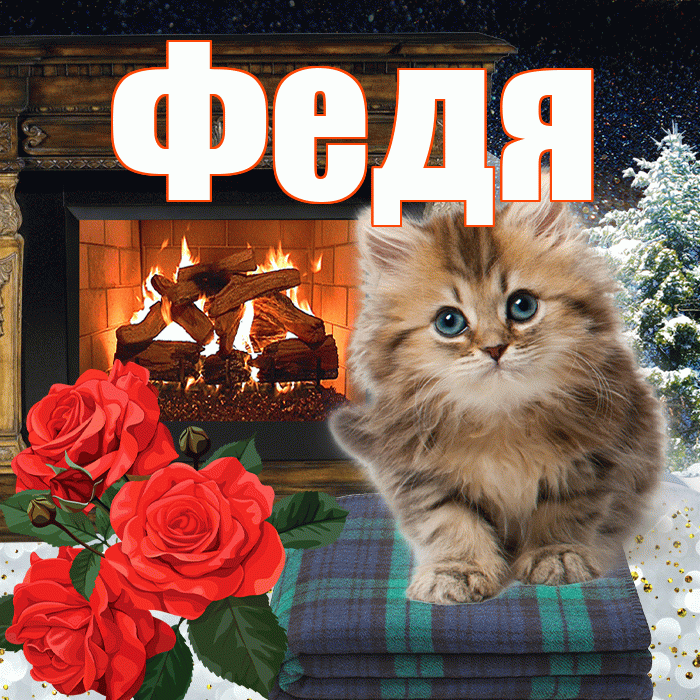 Федя! Доброго зимнего вечера! Красивая открытка Феде!