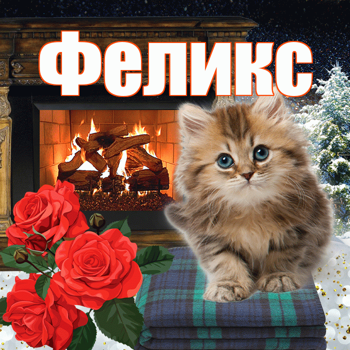Феликс! Доброго зимнего вечера! Красивая открытка Феликсу!