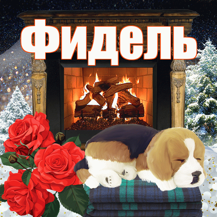 Фидель! Доброго зимнего вечера! Красивая открытка Фиделю!