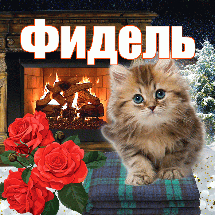 Фидель! Доброго зимнего вечера! Красивая открытка Фиделю!