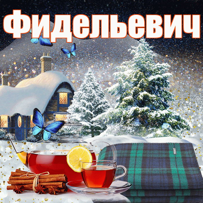 Фидельевич! Доброго зимнего вечера! Красивая открытка Фидельевичу!