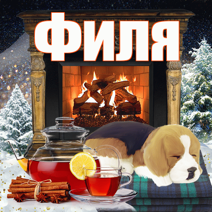 Филя! Доброго зимнего вечера! Красивая открытка Филе!