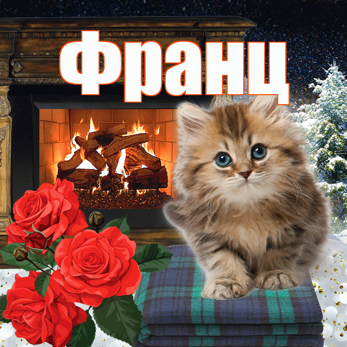 Франц! Доброго зимнего вечера! Красивая открытка Францу!