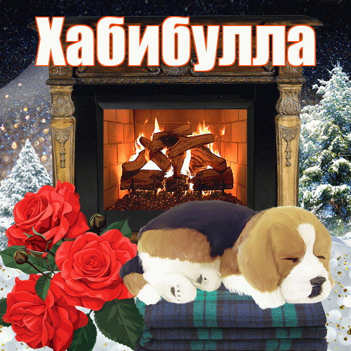 Хабибулла! Доброго зимнего вечера! Красивая открытка Хабибулле!