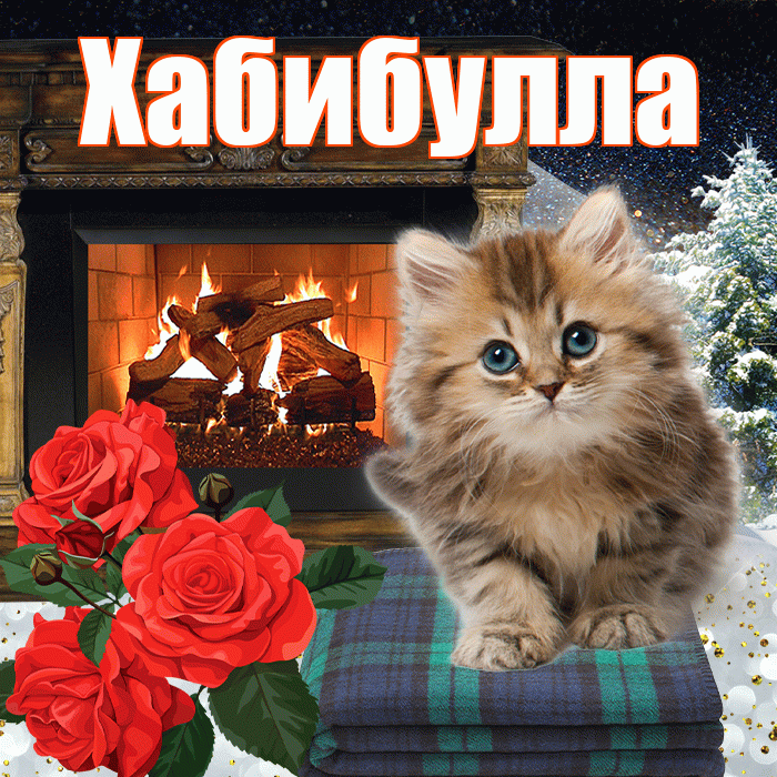 Хабибулла! Доброго зимнего вечера! Красивая открытка Хабибулле!