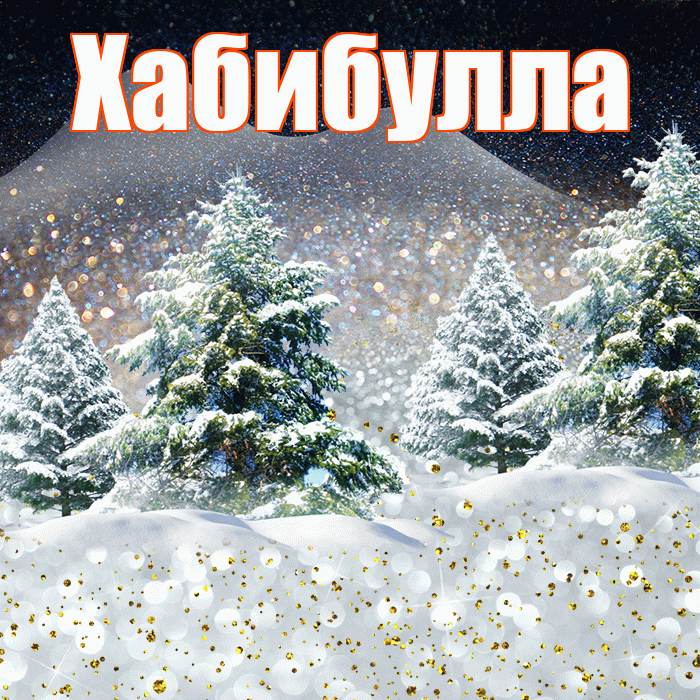 Хабибулла! Доброго зимнего вечера! Красивая открытка Хабибулле!