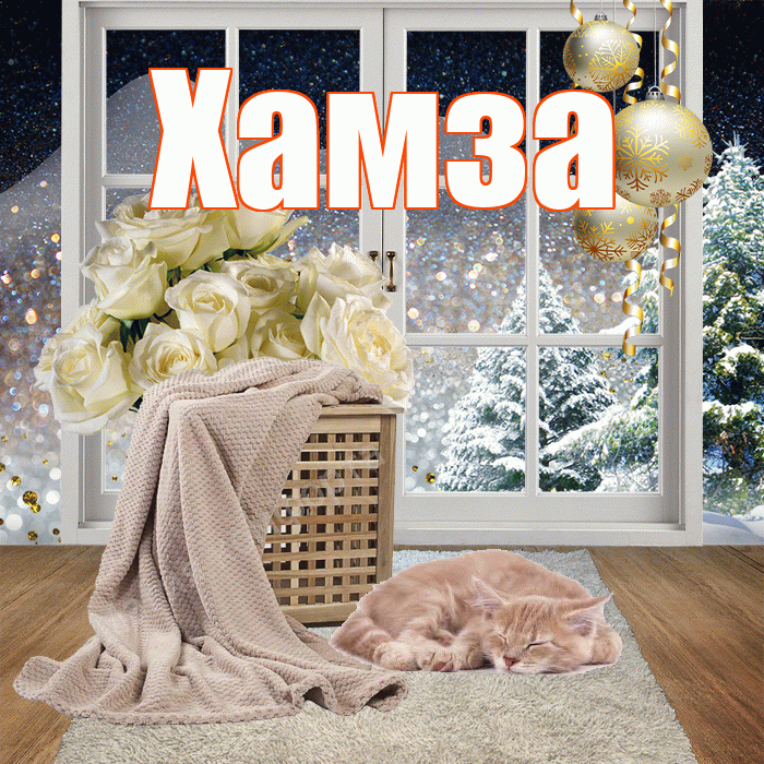 Хамза! Доброго зимнего вечера! Красивая открытка Хамзе!